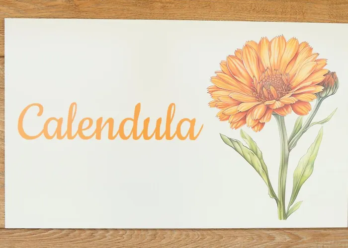 Agricamping Ai Prati Kemping Lazise